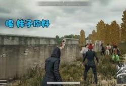 新疆伊吾最新爆料事件,揭秘神秘事件背后的真相